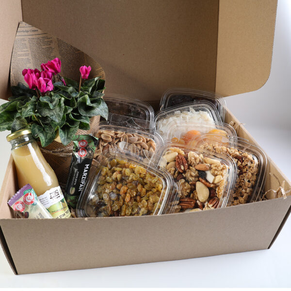 מארז לטו בשבט - מארז פורח